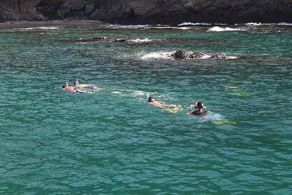 Flamingo Snorkeling Tours - Best snorkel tours in Guanacaste ...