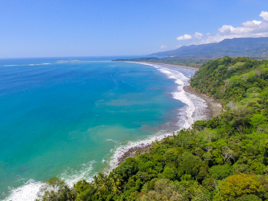 Beach and rainforests