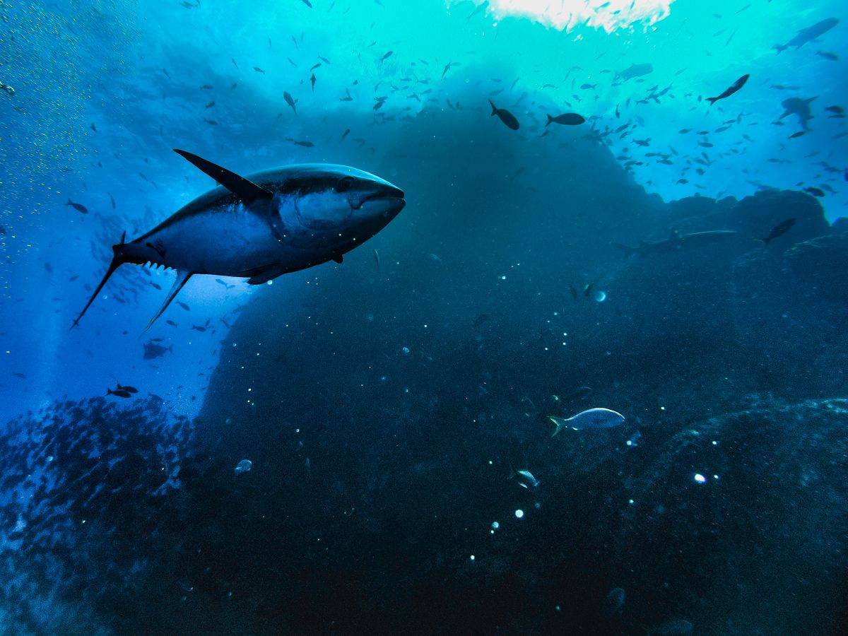 Explore Guanacaste