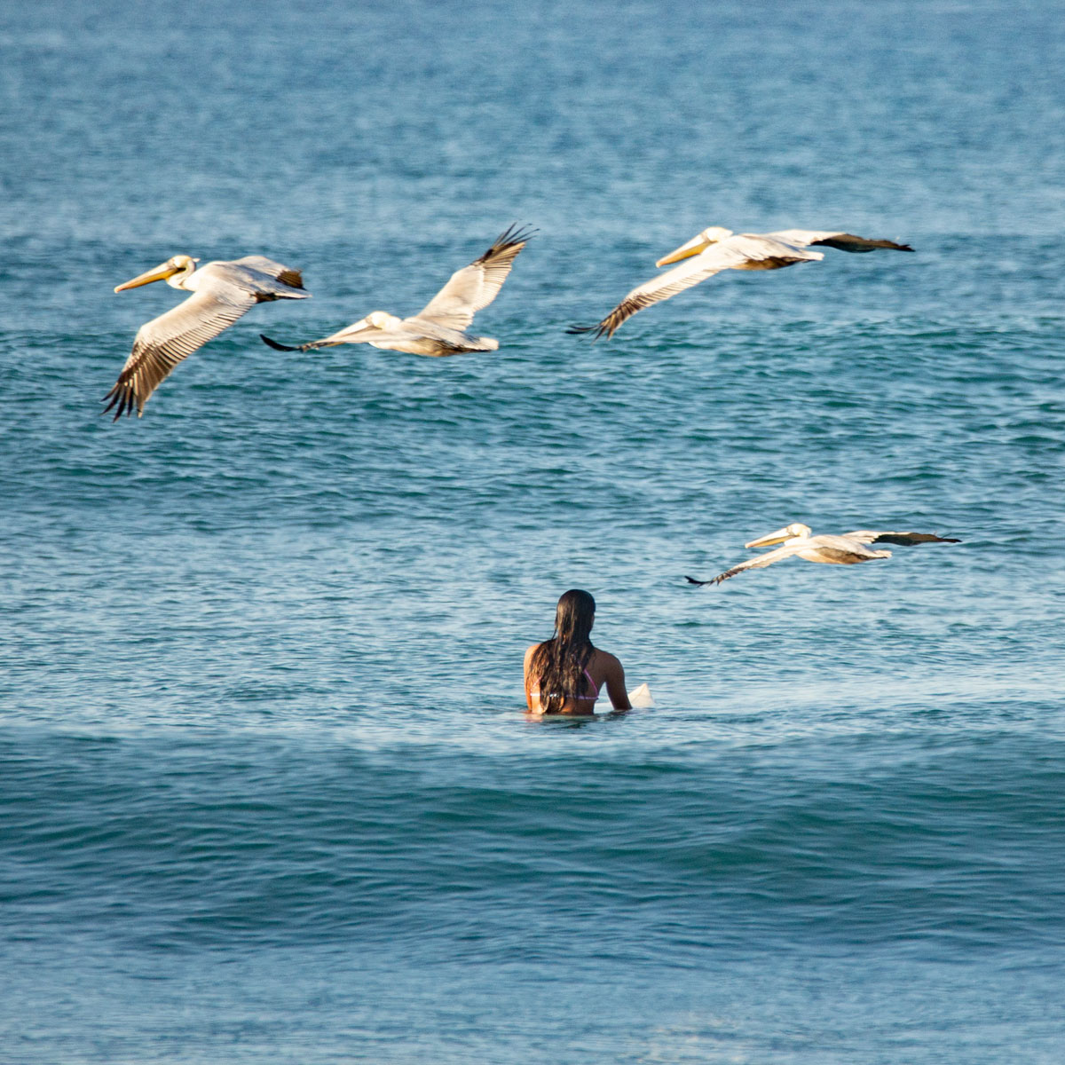 Guanacaste